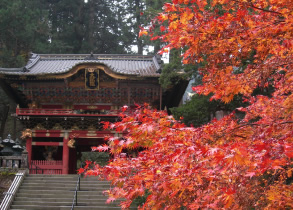 History and nature in Nikko Image