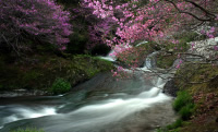 History and nature in Nikko Image