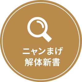 ニャンまげ解体新書