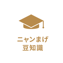 ニャンまげ豆知識