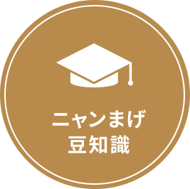 ニャンまげ豆知識